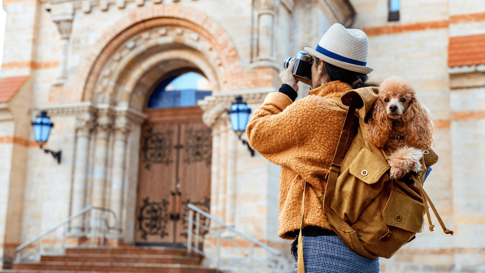 Why People Are Pet Sitting to Offset the Cost of Travel 9 No Changes in the Environment