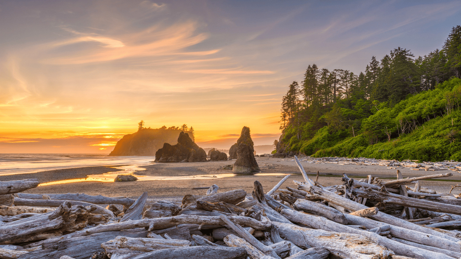 11 of the Best Beach Getaways in the US 8 Olympic National Park Washington