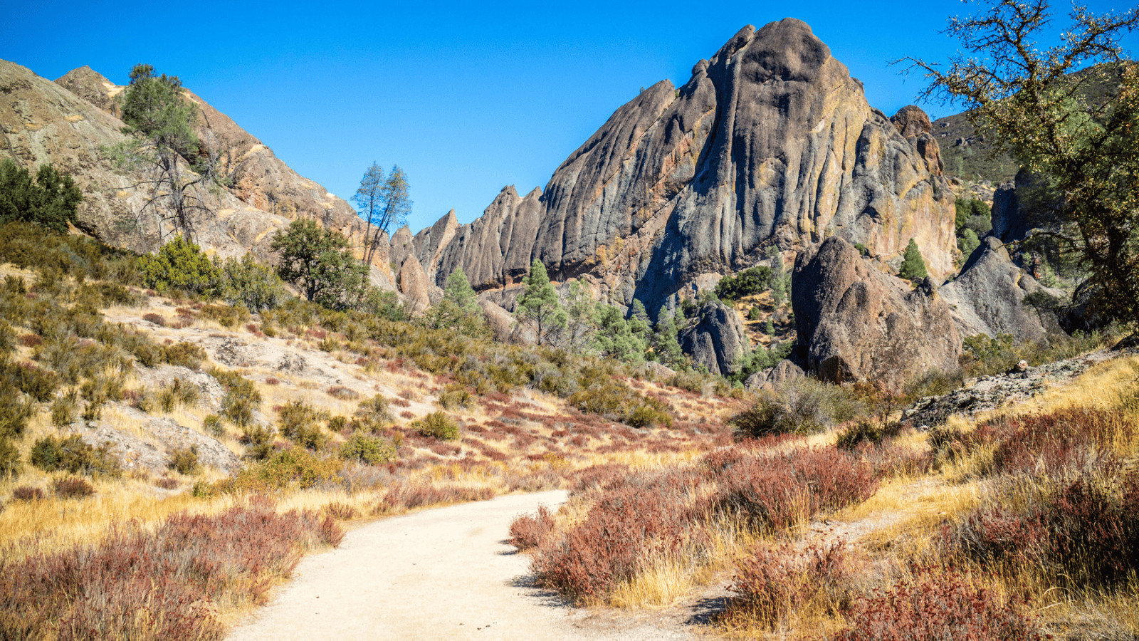 The Best Californian National Parks to Camp In 7 Pinnacles National Park