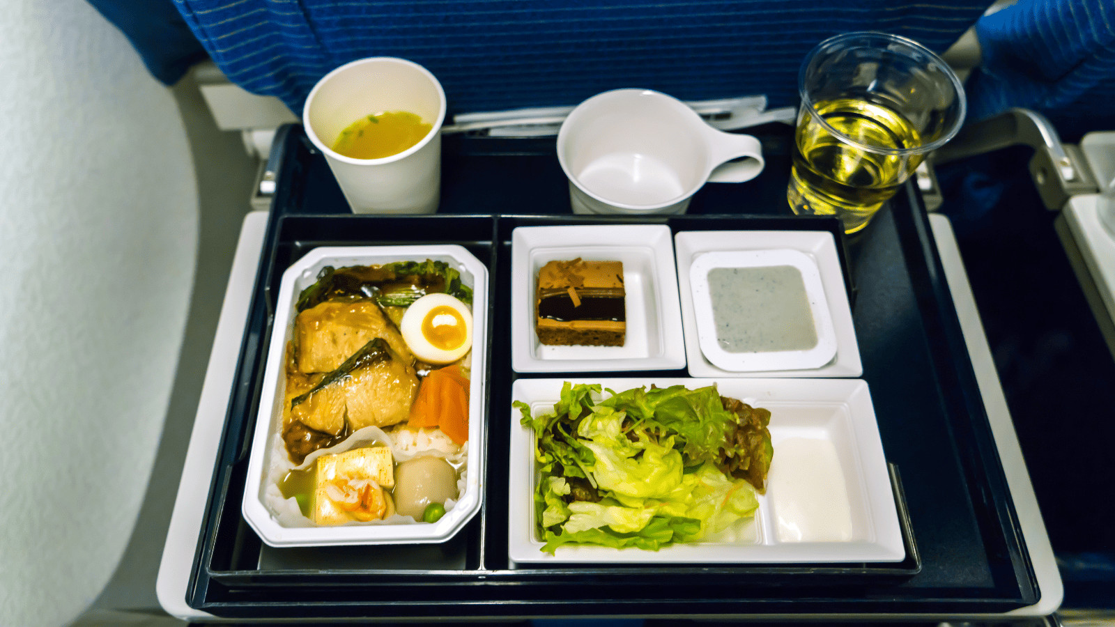 Plane Food