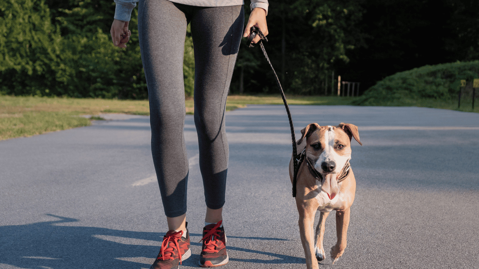 Why People Are Pet Sitting to Offset the Cost of Travel 5 Plenty of