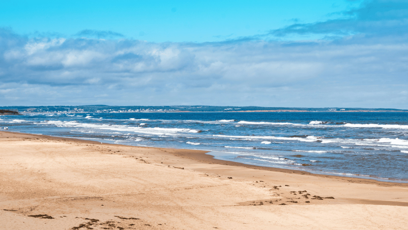 Canada’s Top 13 National Parks To Add to Your Bucket List 11 Prince Edward Island National Park