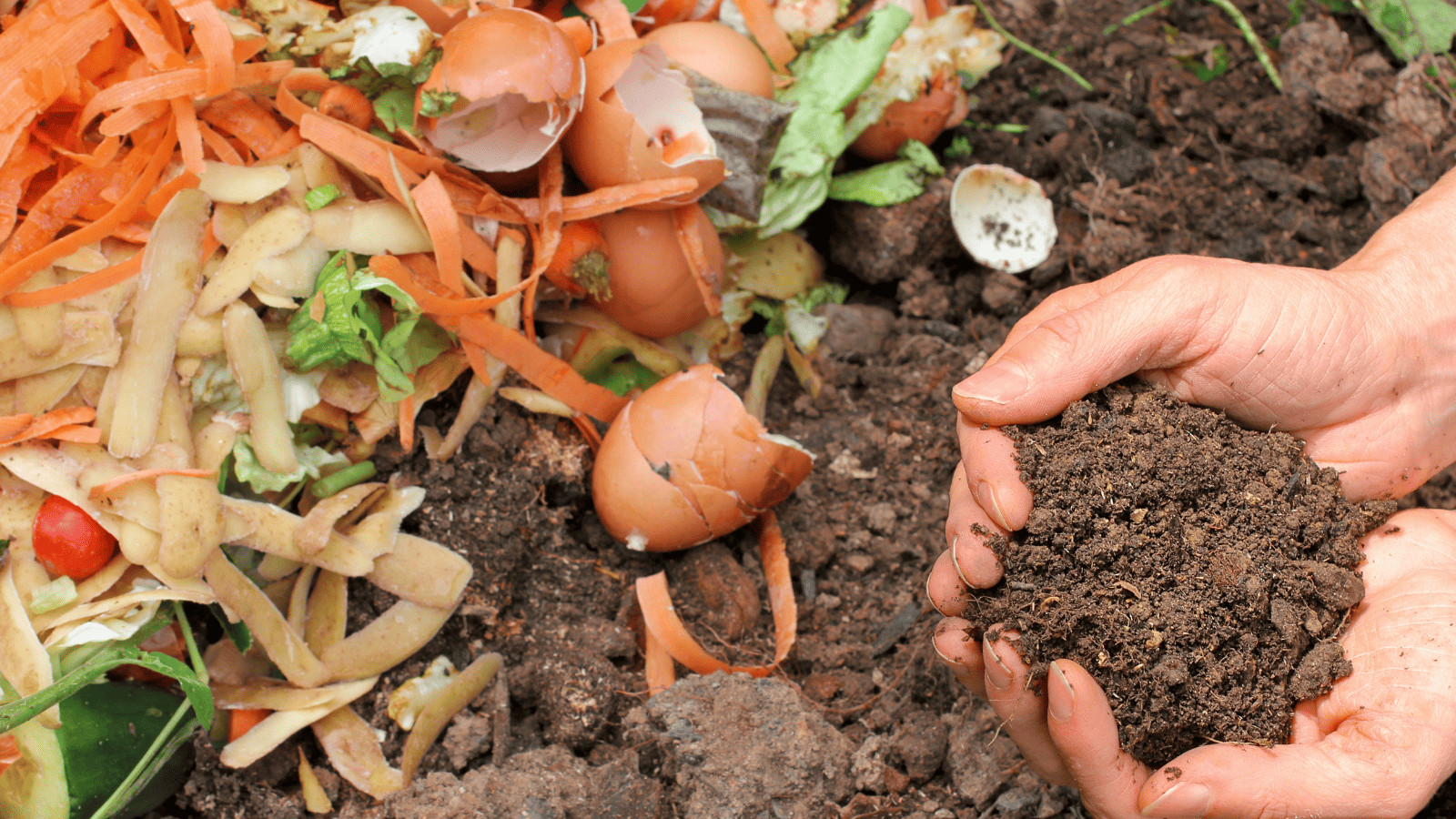 Travel Green: 10 Tips for Sustainable Journeys 7 Reduce Waste