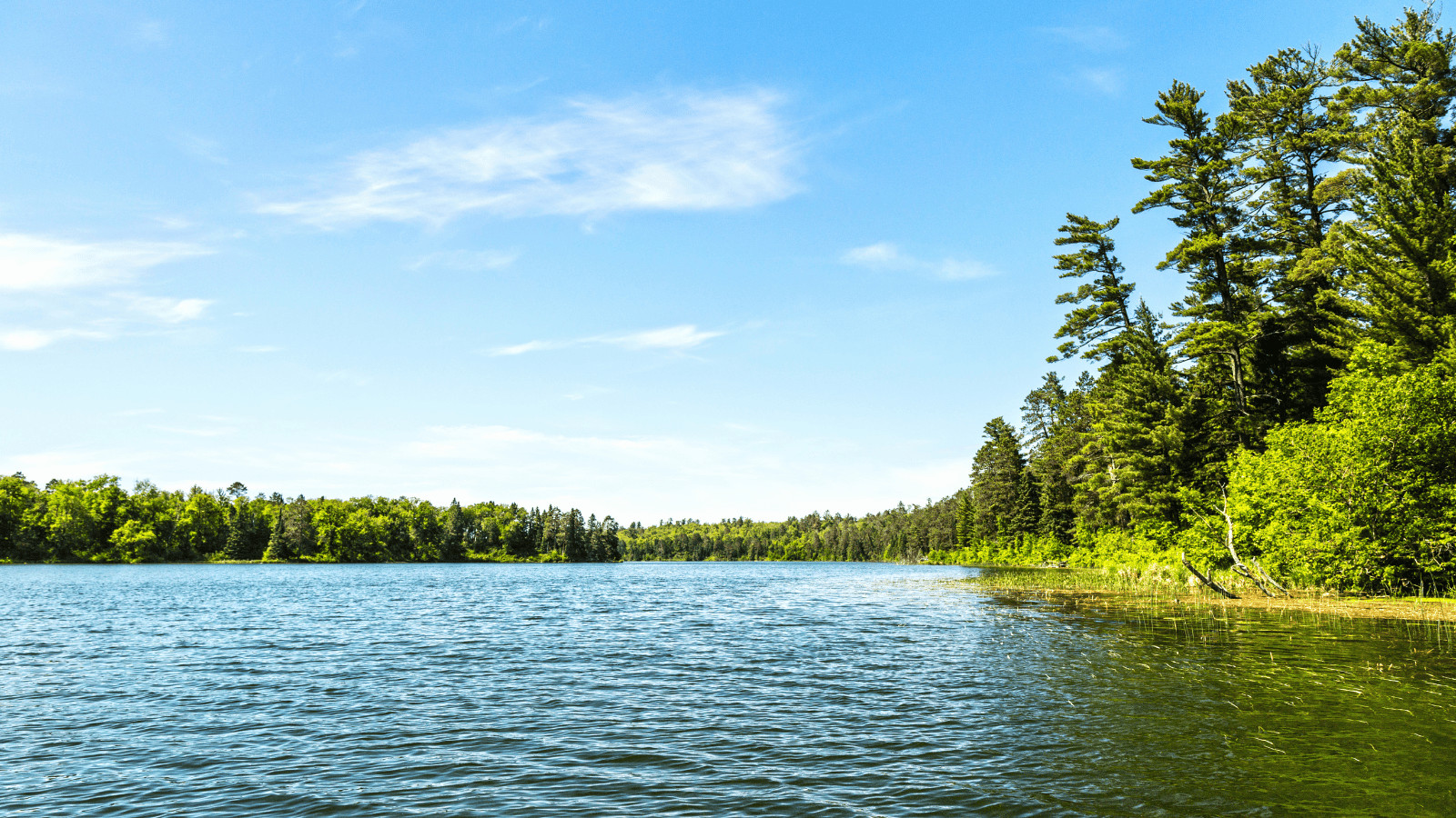 Sardis Lake