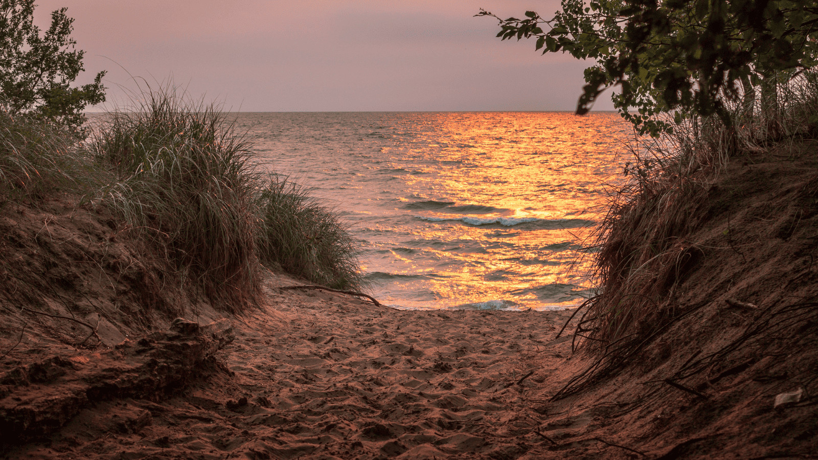 11 of the Best Beach Getaways in the US 10 Saugatuck Michigan