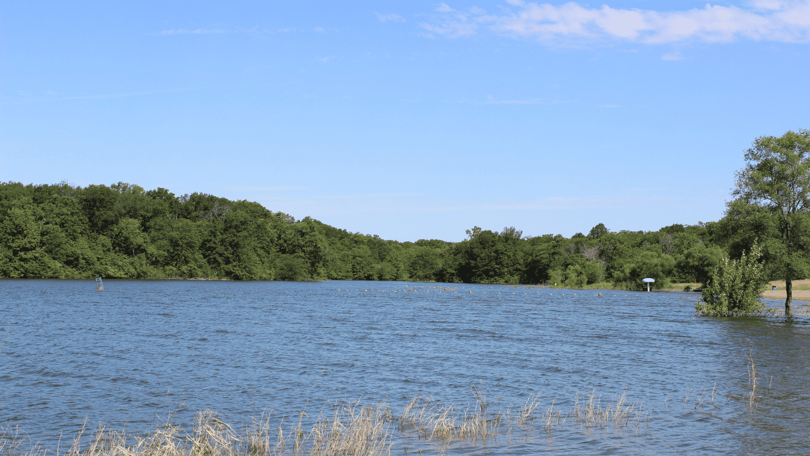 Smithville Lake