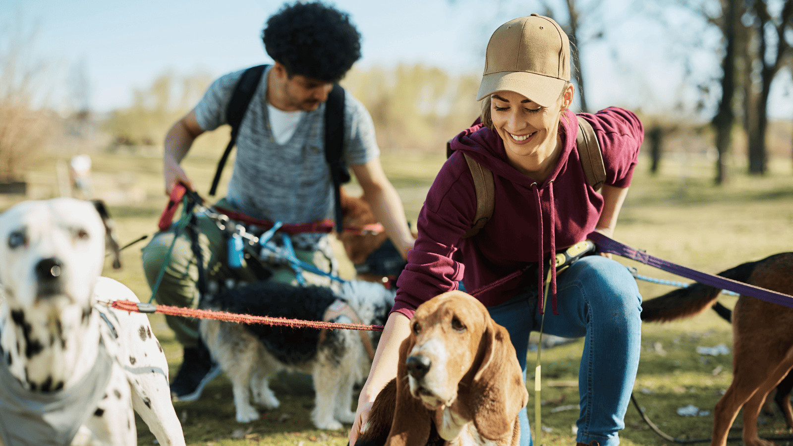 Why People Are Pet Sitting to Offset the Cost of Travel 4 Support Local Business
