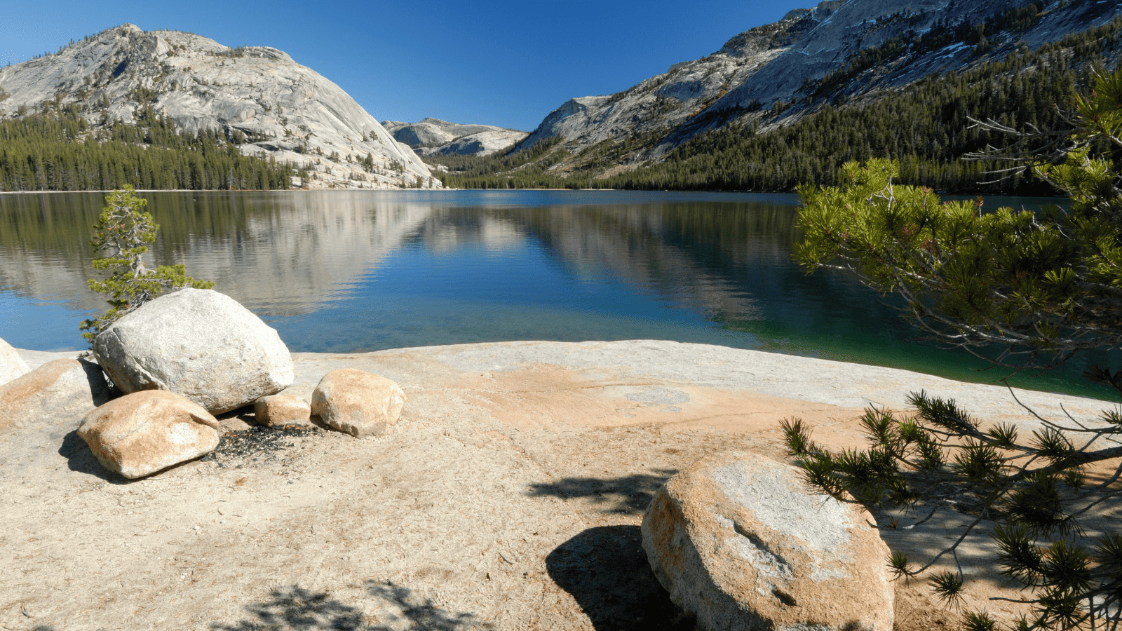 The 17 Most Breathtaking Lakes in CA 8 Tenaya Lake 1