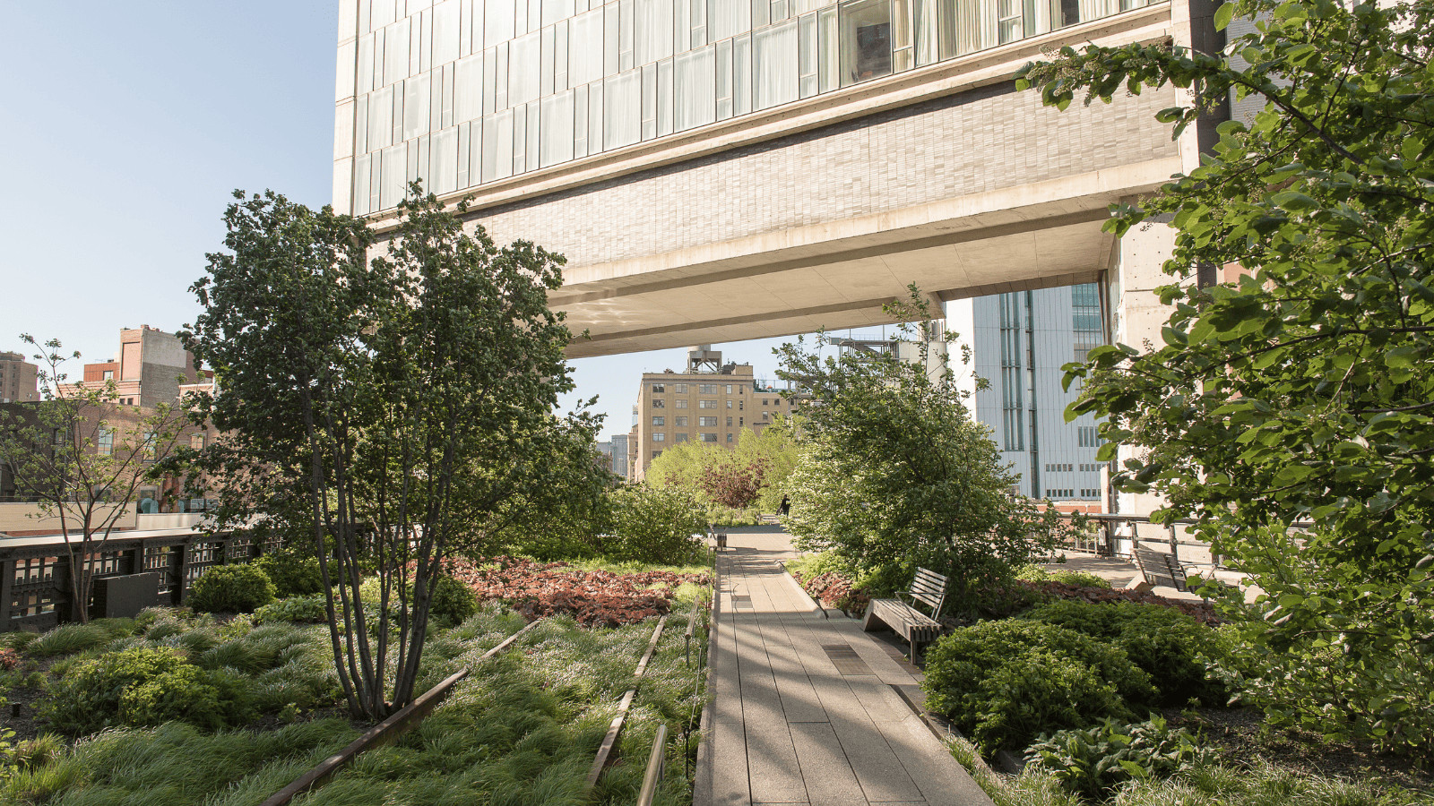 Big Apple, Small Budget: 14 Free Activities in New York City 9 The High Line 1