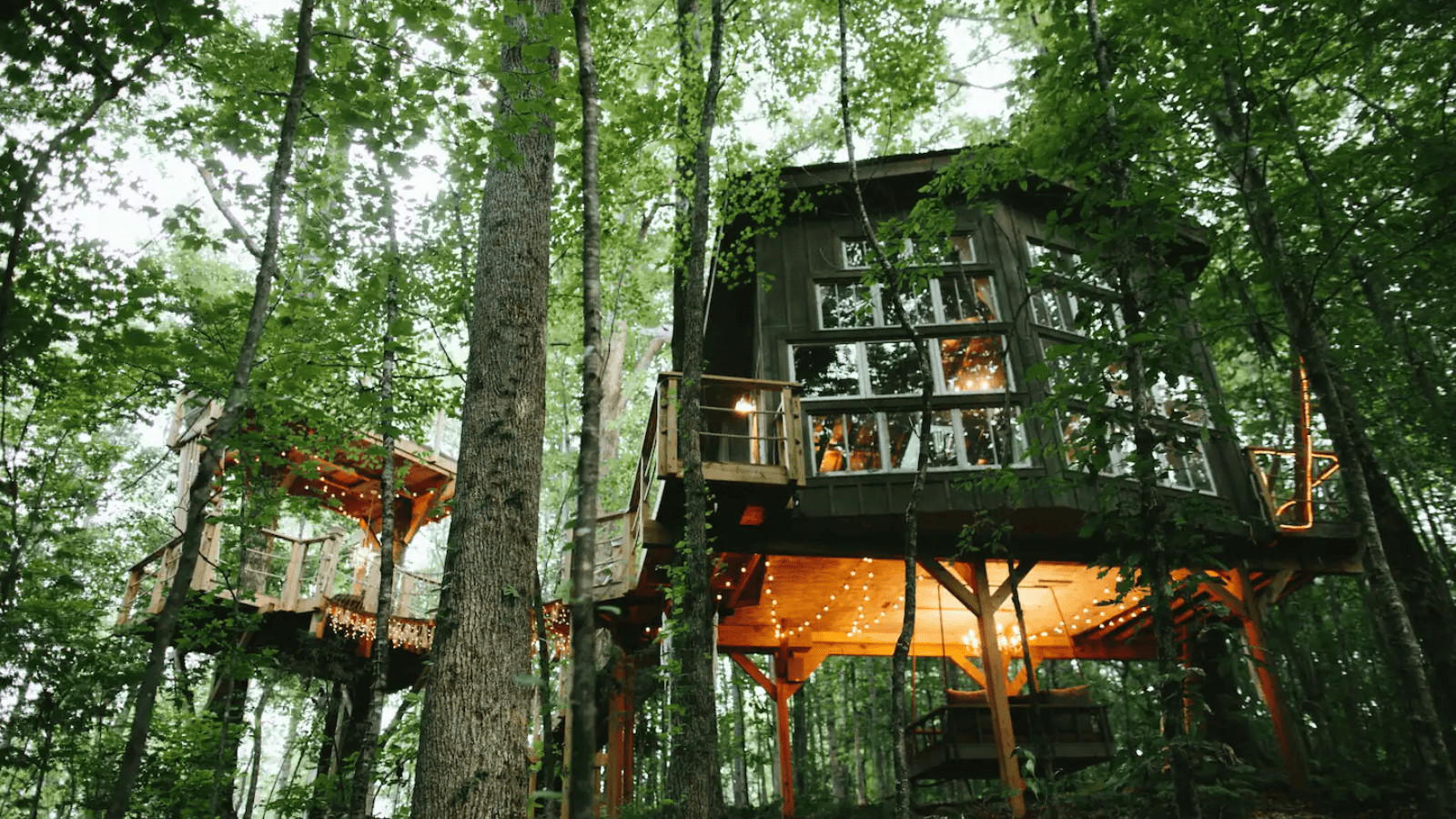 Check Out These 11 Bizarre Airbnbs 1 The Treehouse — Walhalla South Carolina