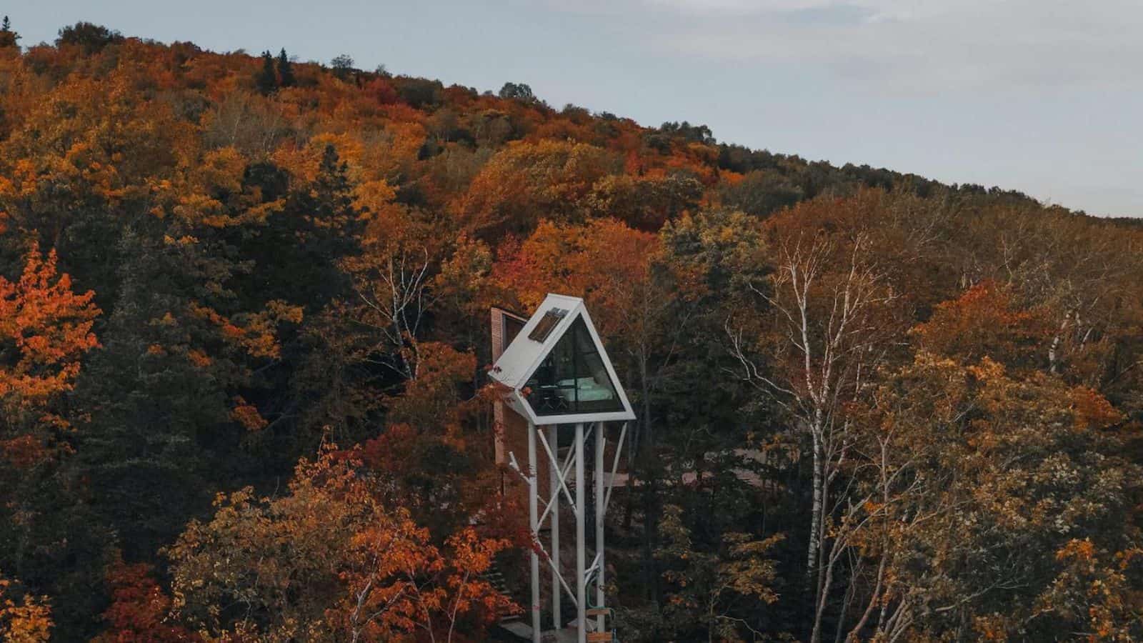 Treehouse in Quebec 1