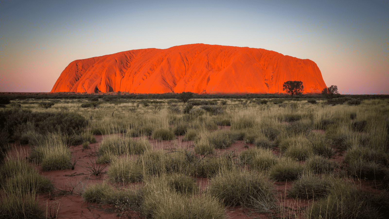 Uluṟu Kata Tjuṯa National Park Northern Territory