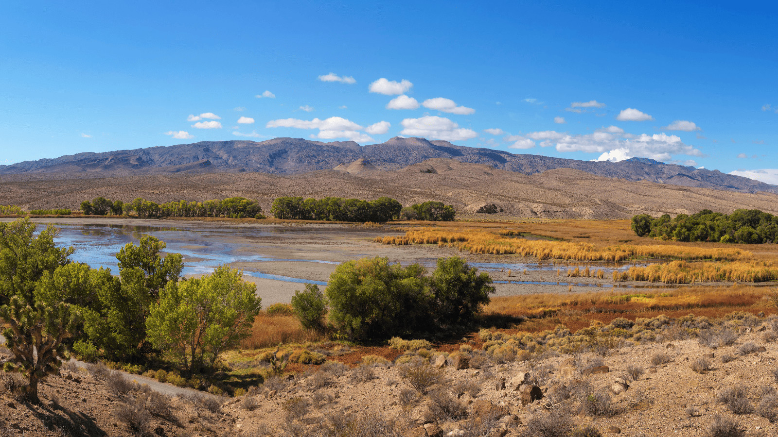 Uncovering the 7 Best Lakes in Las Vegas 7 Upper Pahranagat Lake