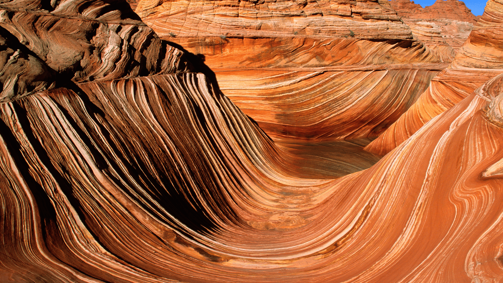Vermilion Cliffs National Monument Arizona