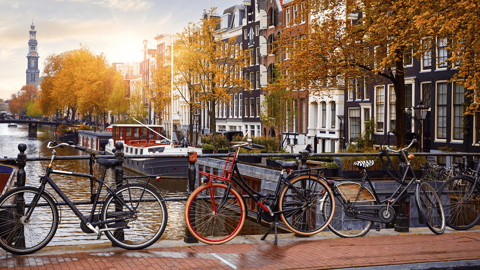 14 Must-Visit Cozy Fall Destinations for 2023 3 Amsterdam in the Fall