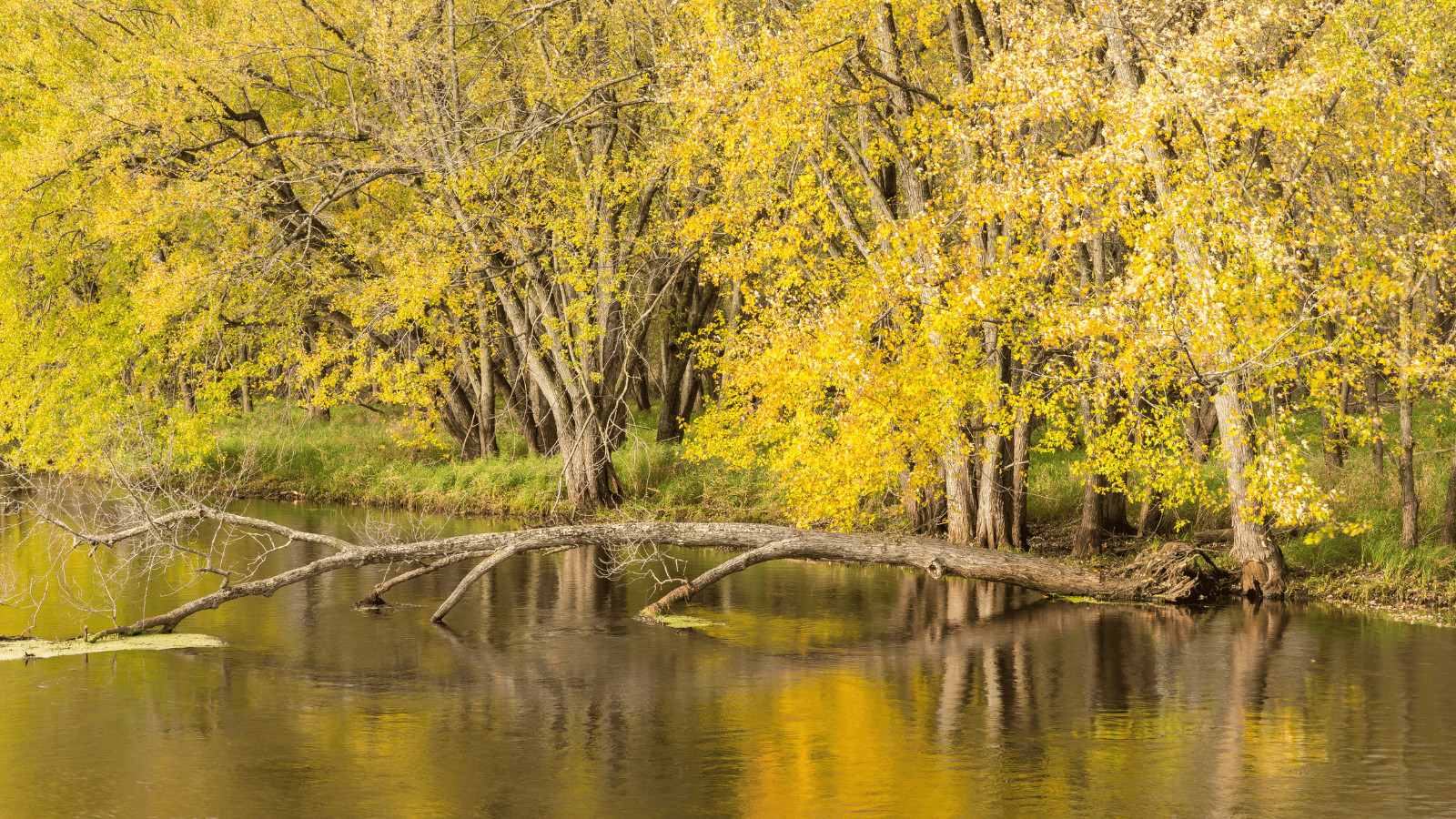 The 15 Most Breathtaking Lakes in Mississippi 6 Arkabutla Lake 1