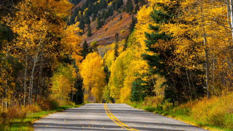 Unveiling the Top 11 US Cities for Fall Foliage