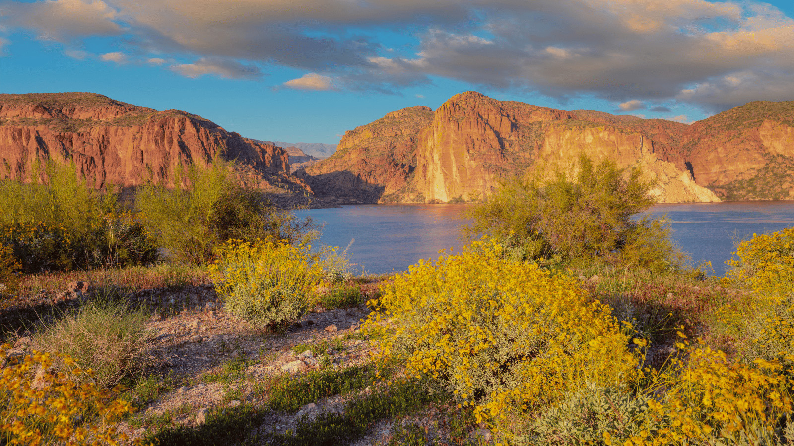 Desert Oasis: Exploring the Best Lakes in Phoenix 3 Canyon Lake 2