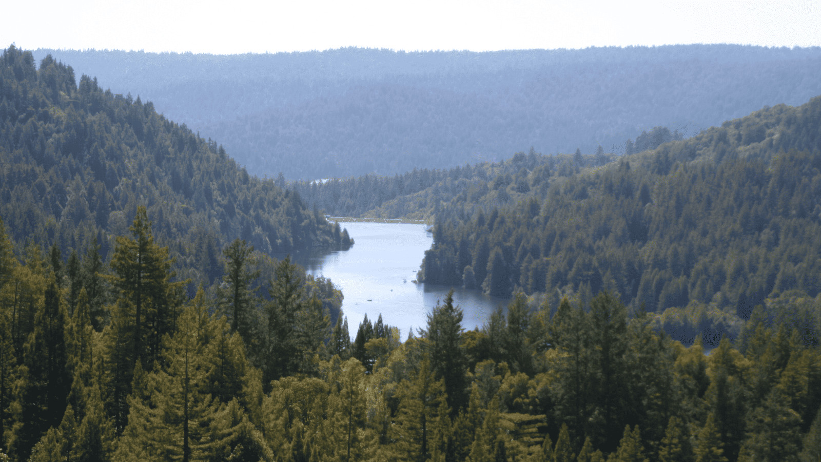 13 Best Lakes in San Jose for Exploring 11 Loch Lomond, California
