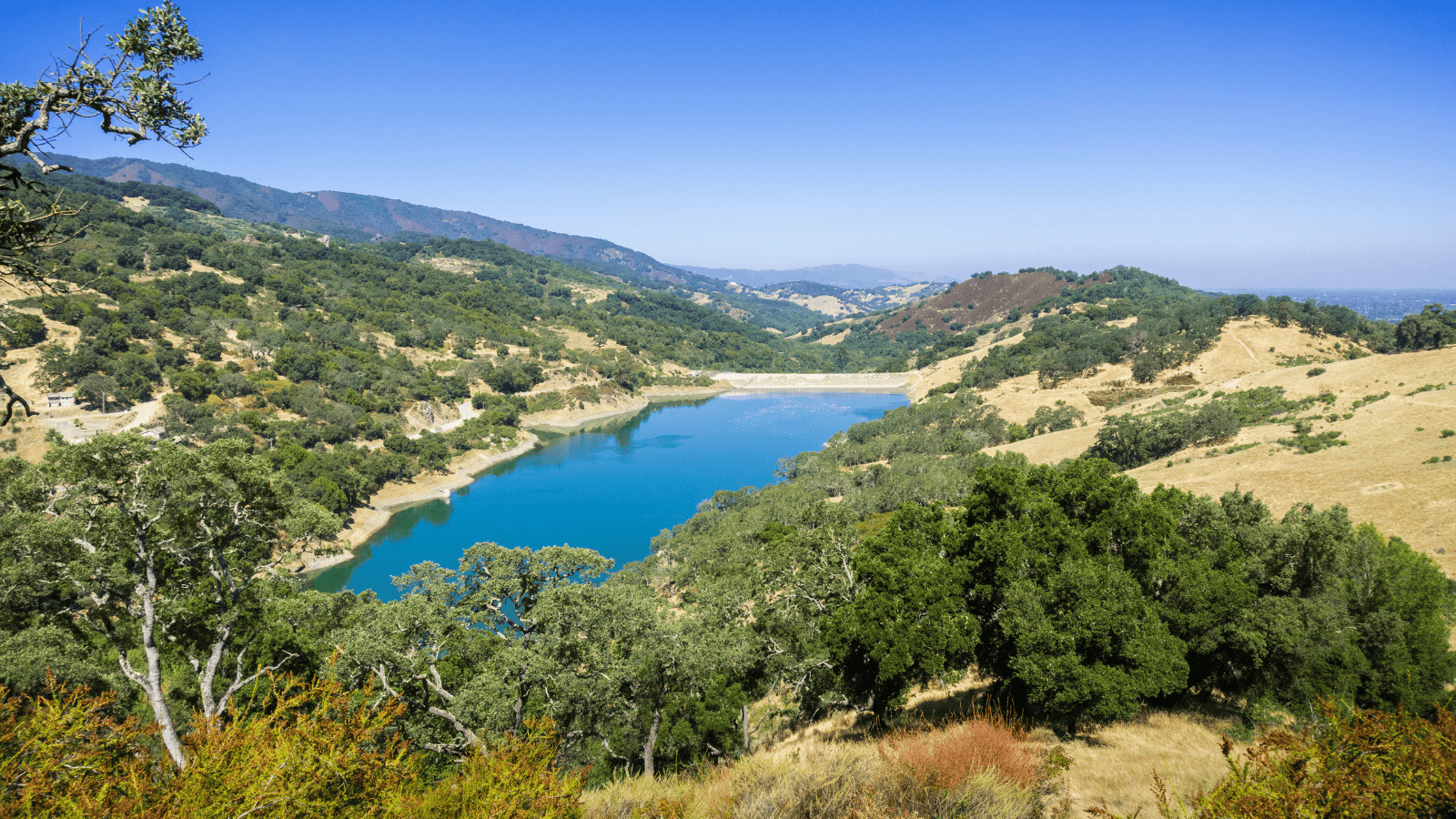 13 Best Lakes in San Jose for Exploring 13 Guadalupe Reservoir, California
