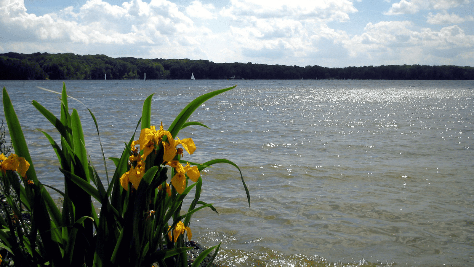 Top 12 Lakes Near Cincinnati Well Worth Visiting 7 Cowan Lake, Ohio