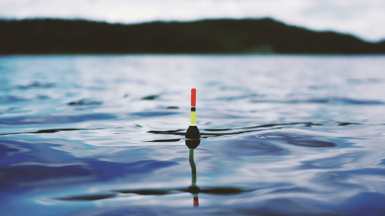 Top 12 Lakes Near Cincinnati Well Worth Visiting 1 Fishing float on a lake