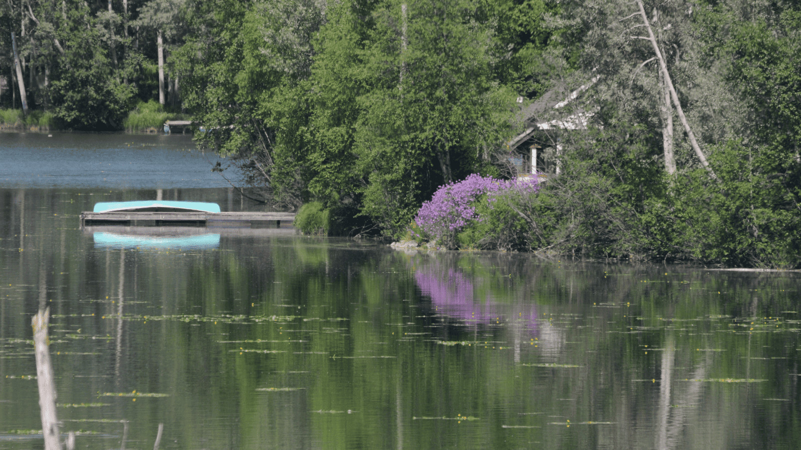15 Best Lakes Near Houston: Adventure Awaits 10 Smithers Lake, Texas