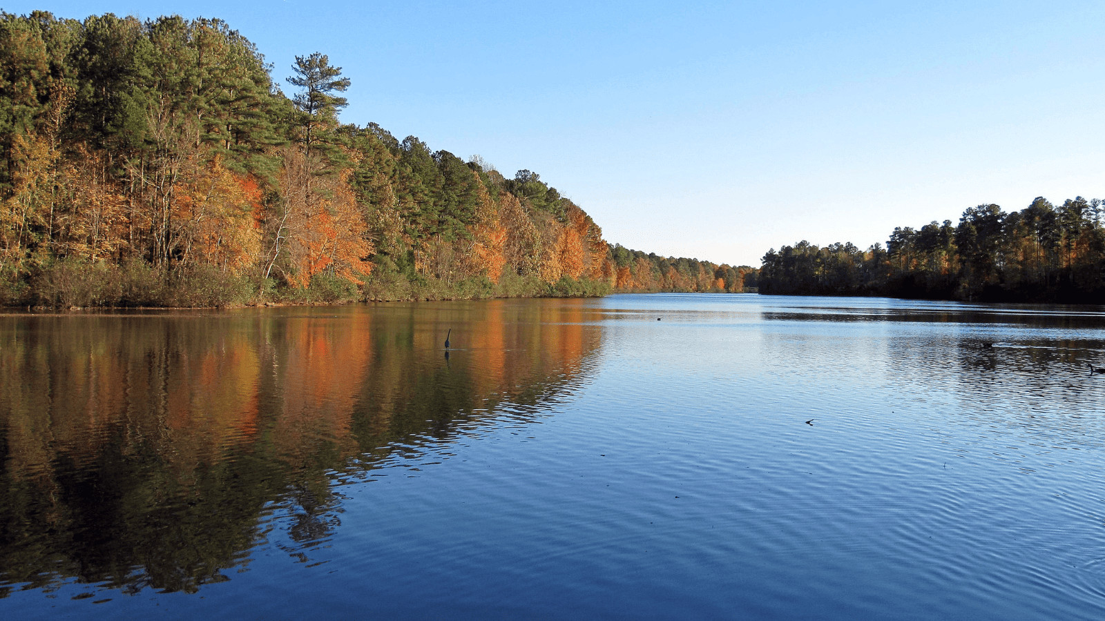 Lake Lynn, North Carolina