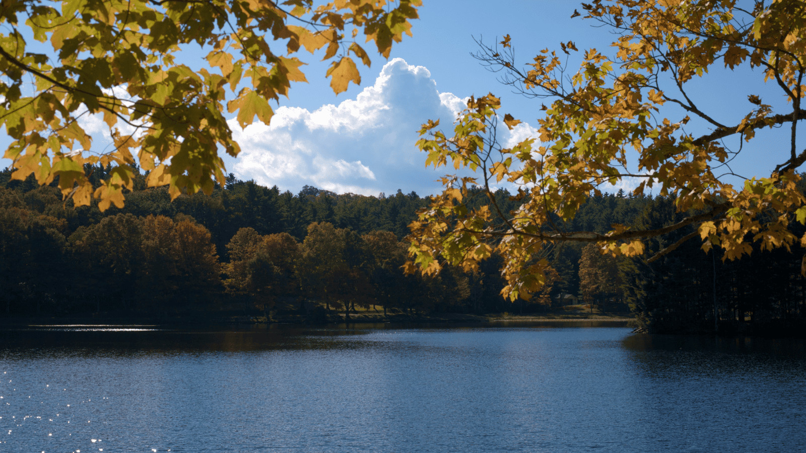 Bass Lake, North Carolina