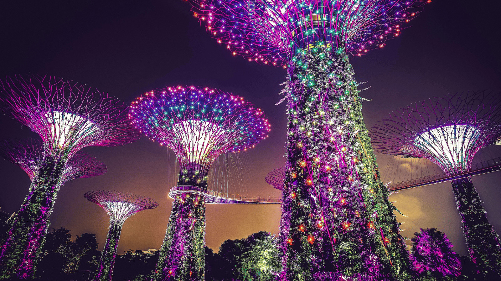 Deck the Stalls: A Guide to the World's Best Christmas Markets 12 Singapore