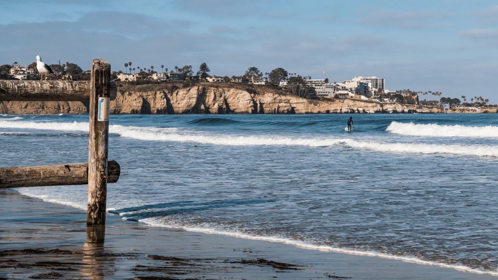 Paddleboard Paradise: 10 Must-Visit U.S. Destinations for SUP Enthusiasts 8 La Jolla Cove paddleboarding