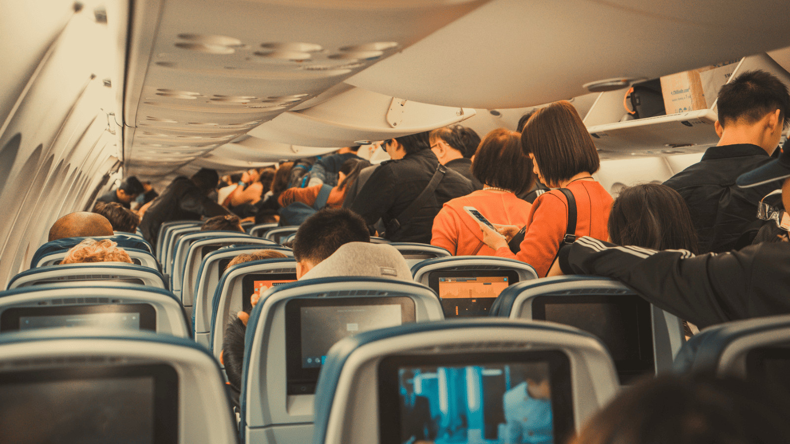 Passenger standing in a plane