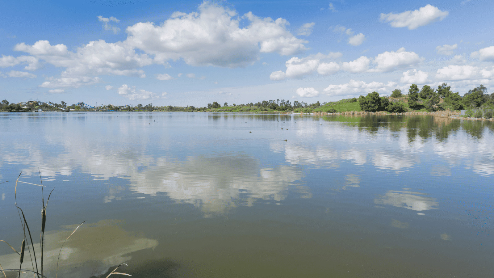 13 Best Lakes in San Jose for Exploring 3 Lake Cunningham, California