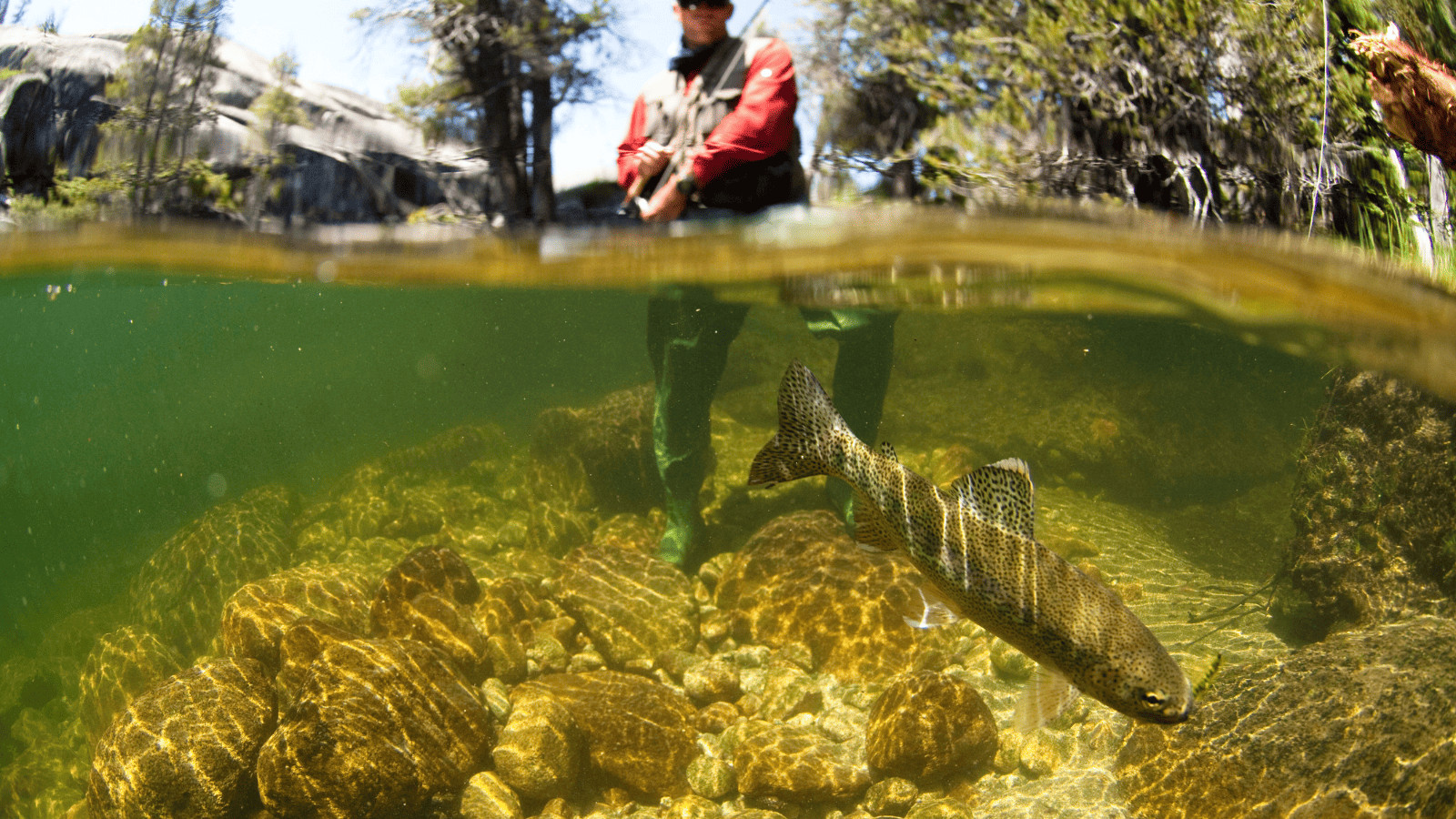 Fly fishing