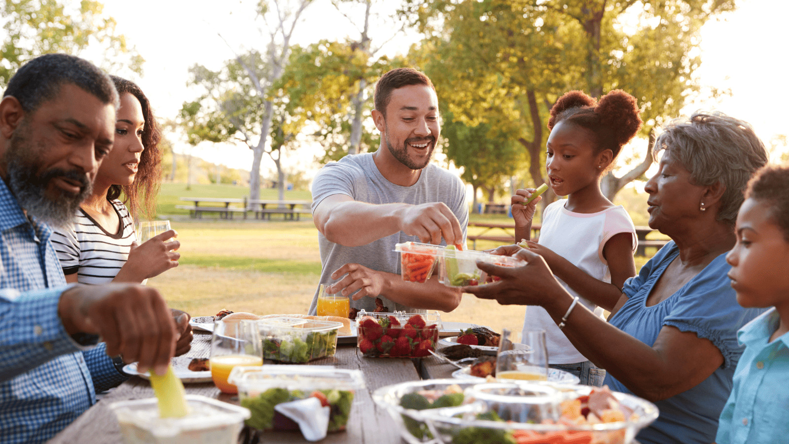 Family picnic