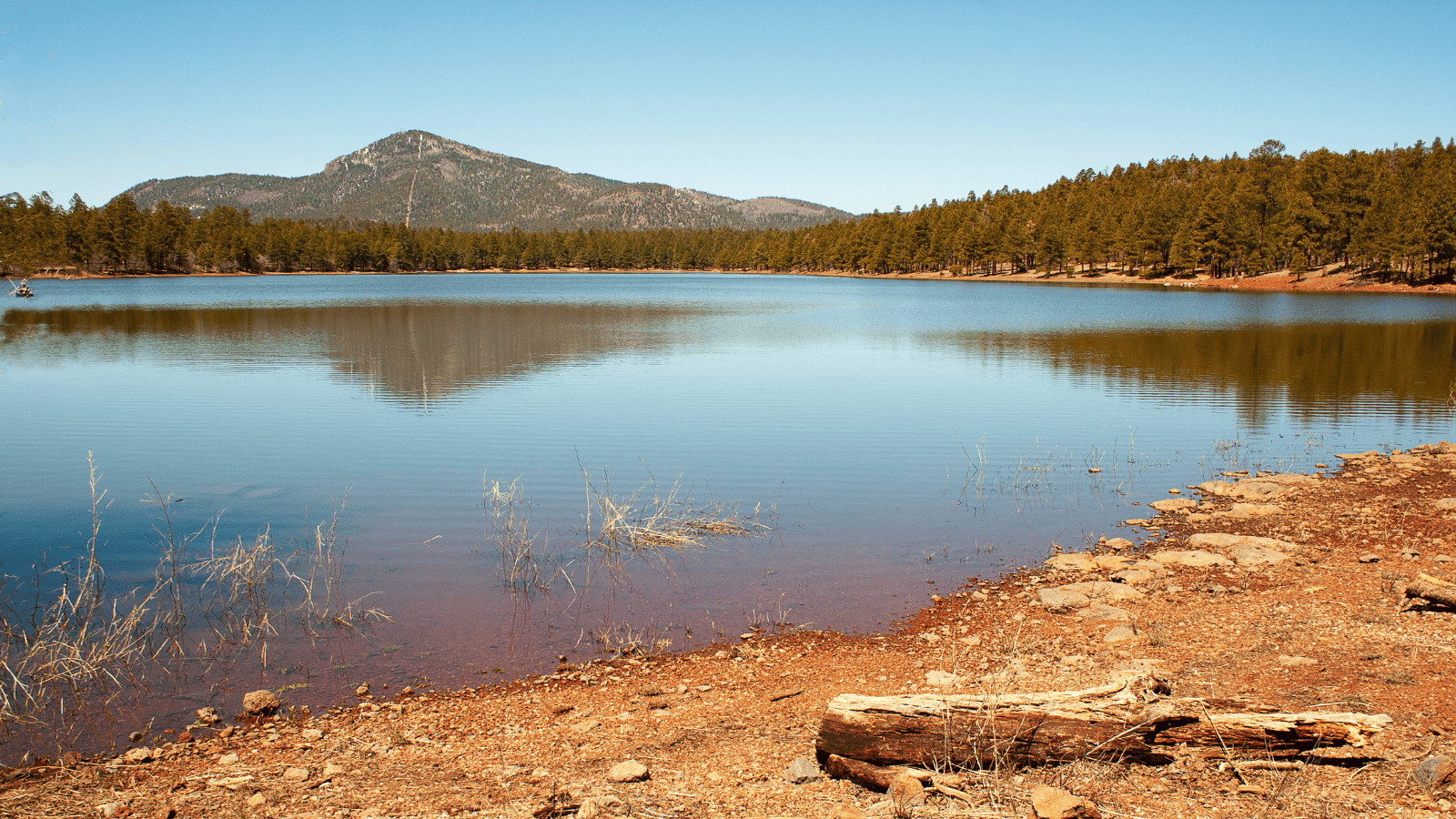 Flagstaff's Best-Kept Secrets: 13 Beautiful Lakes to Explore 7 Dogtown Lake, Arizona