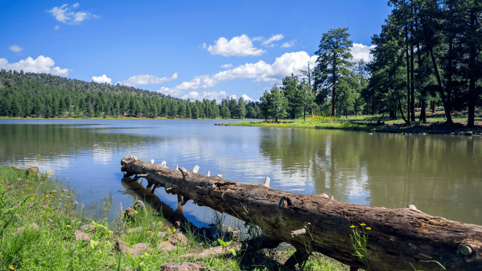 Flagstaff's Best-Kept Secrets: 13 Beautiful Lakes to Explore 9 Kaibab Lake, Arizona