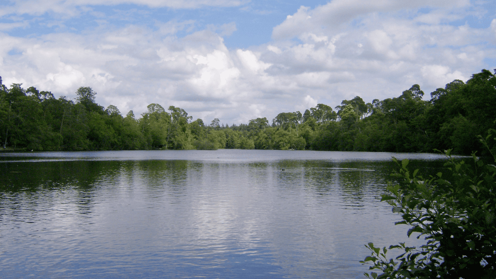 Day Trips from London: Top Destinations Outside the City 3 Black Park Country Park, UK