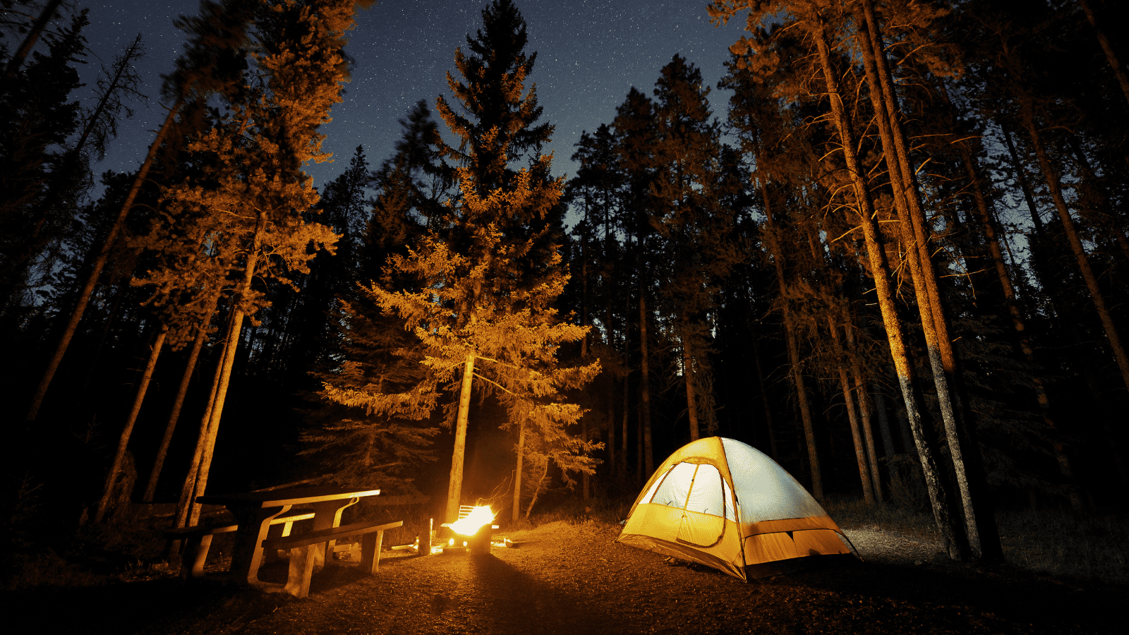 Camping in alpine forest