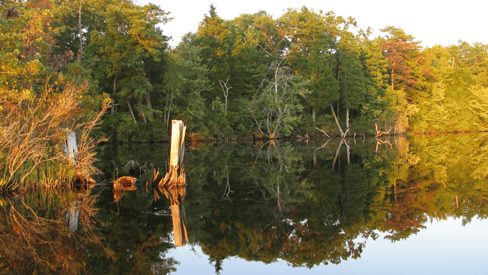 14 Lakes Near Philadelphia For Outdoor Adventure 11 Atsion Lake, NJ