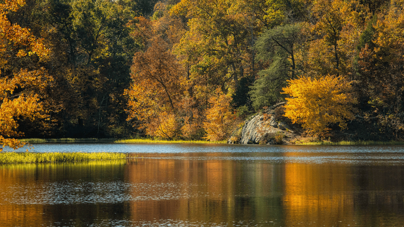 Pennyrile Lakem KY