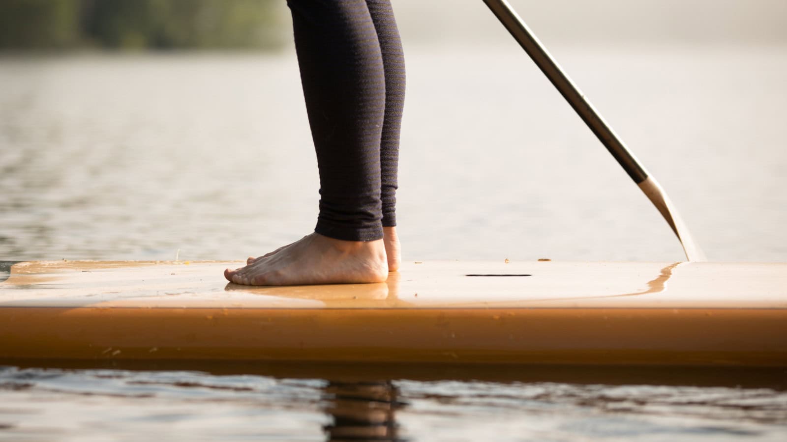 Paddleboarder