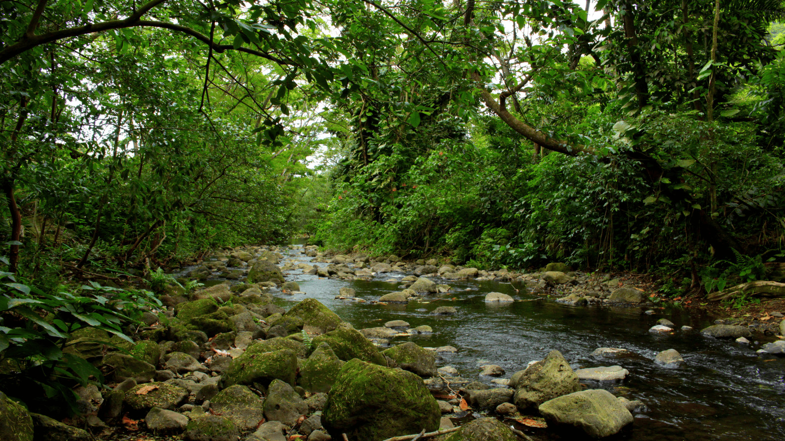 Wailoa River State Park, Hawaii
