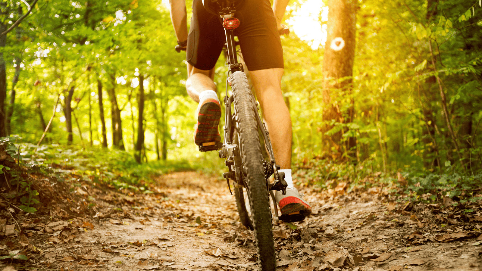 16 Incredible Lakes near Louisville, Kentucky 10 Mountain biking