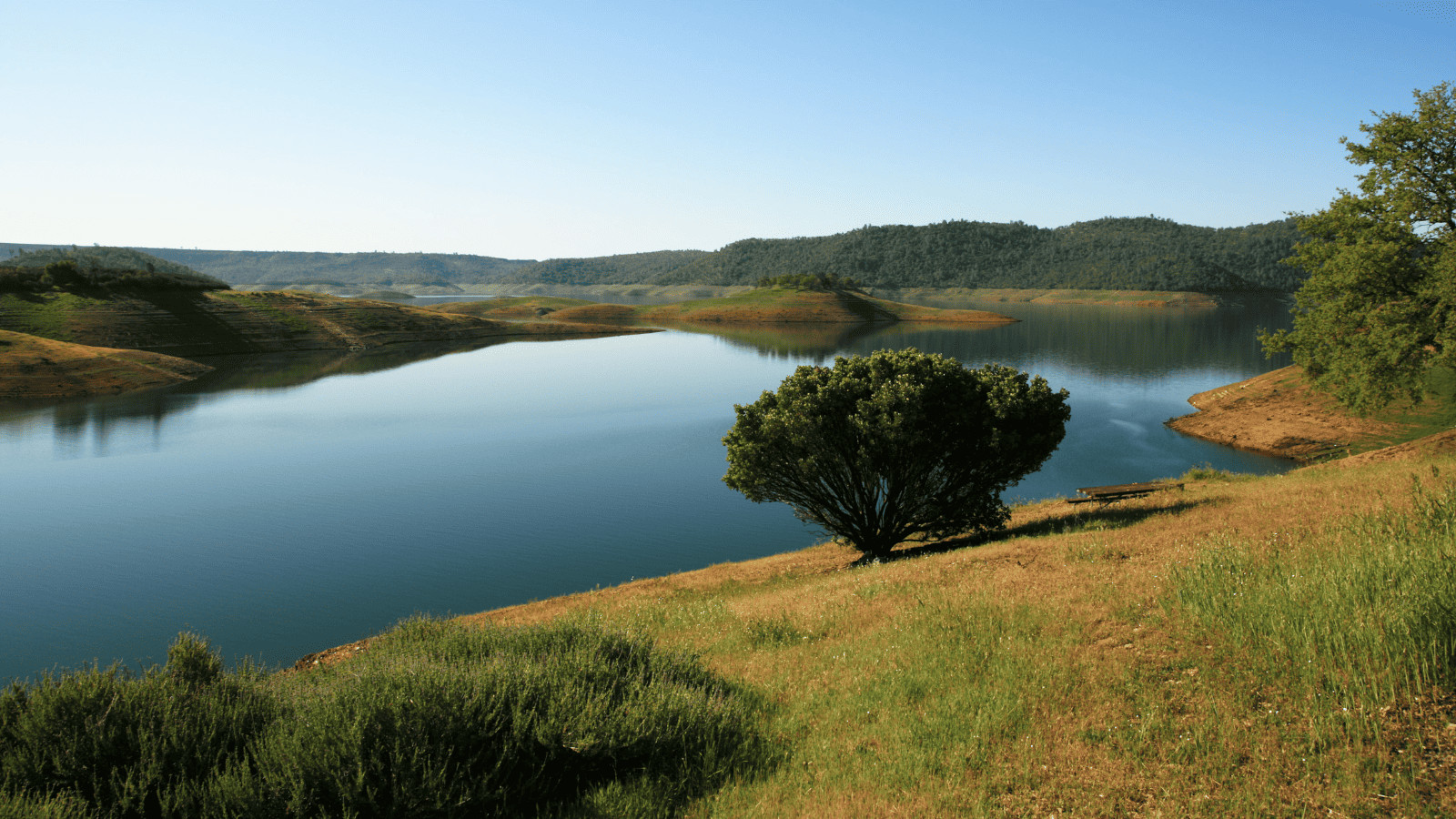 New Melones Lake, California