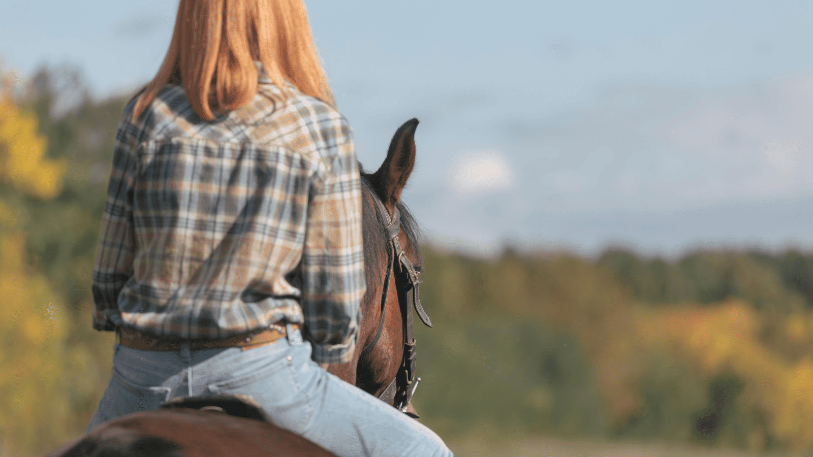 Horseback riding