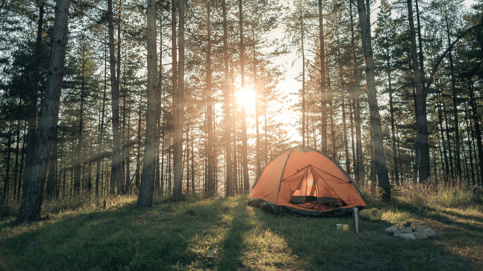 Camper's Delight: Discovering the Best Campsites in America 5 Camping in the woods