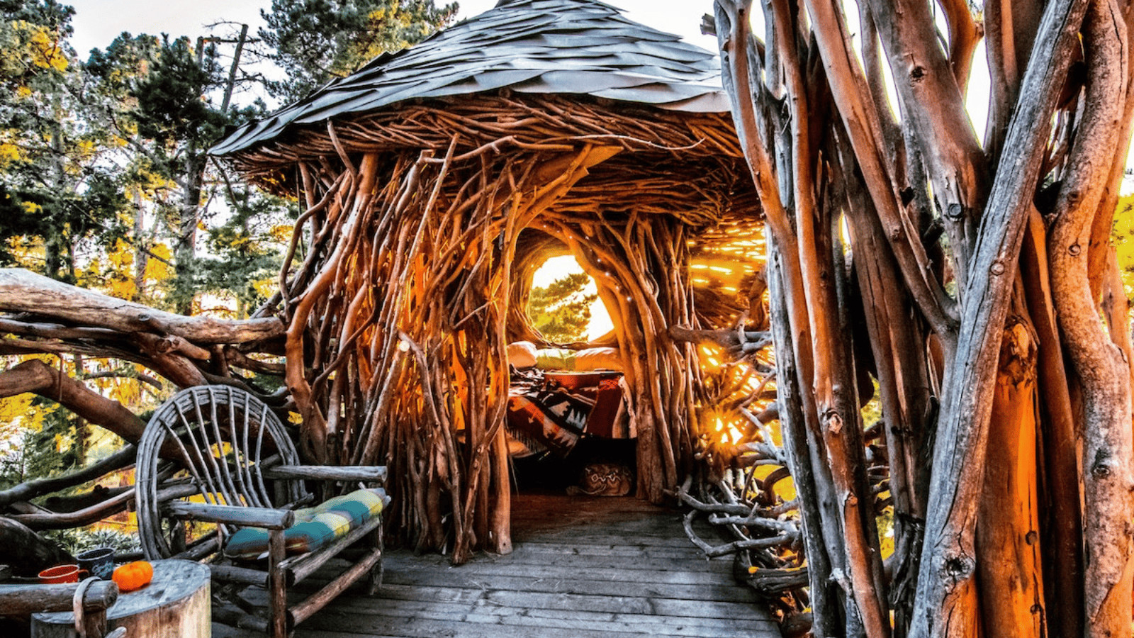 Camper's Delight: Discovering the Best Campsites in America 6 Treebones Resort