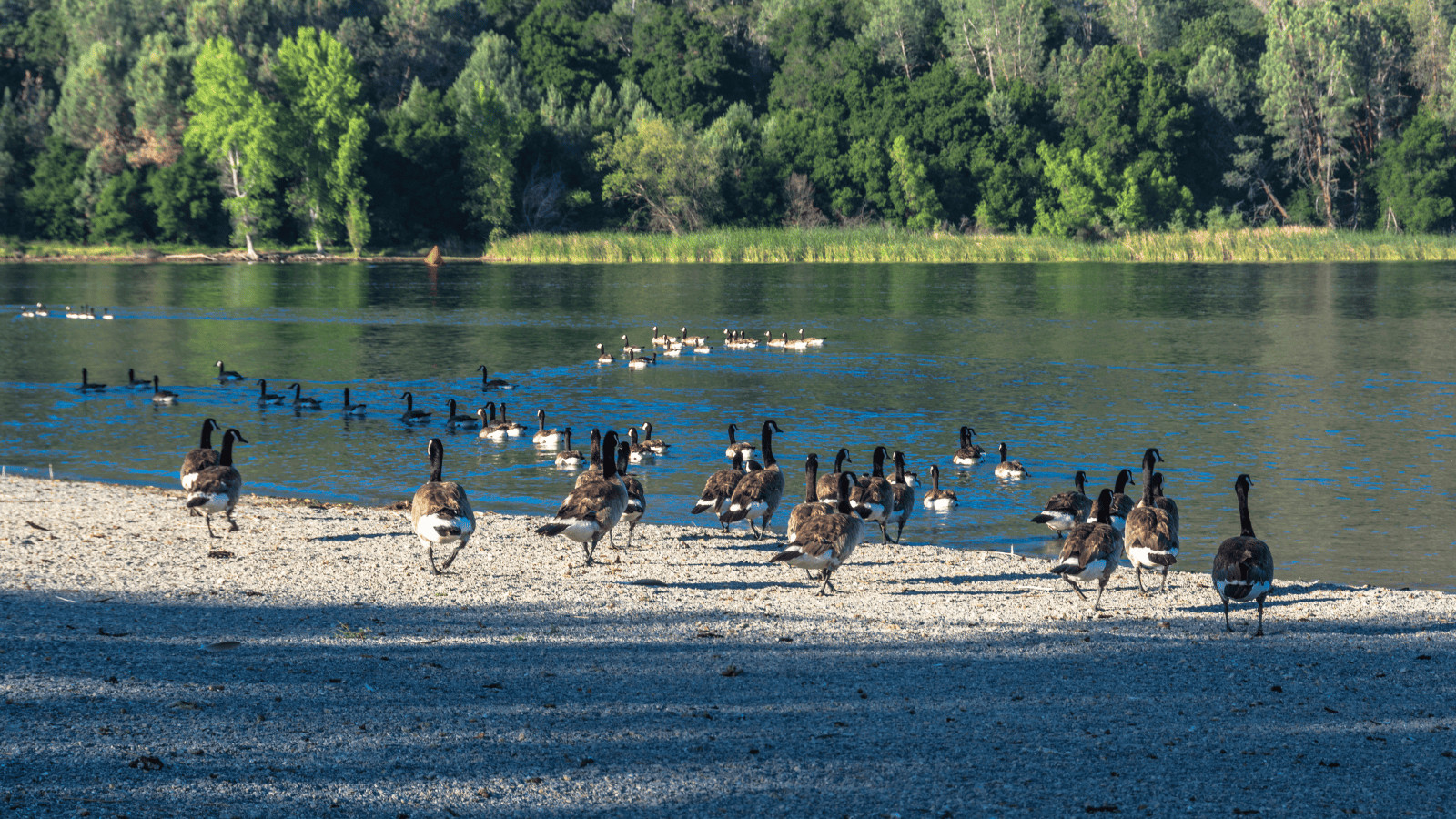 13 Best Lakes in San Jose for Exploring 9 Lake Del Valle, California