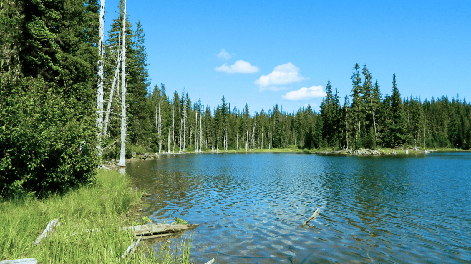 Horseshoe Lake, Washington